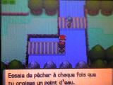 Cannes à pêches dans Pokémon Diamant et Perle Cannes à pêches dans Pokémon Diamant et Perle